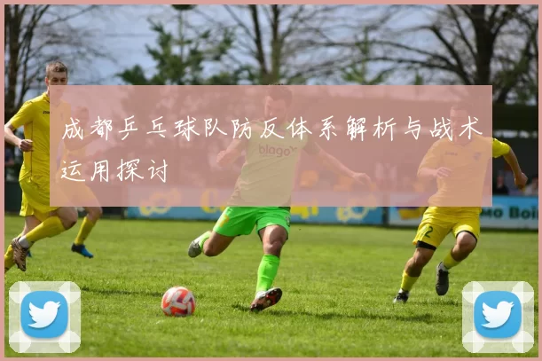 成都乒乓球队防反体系解析与战术运用探讨