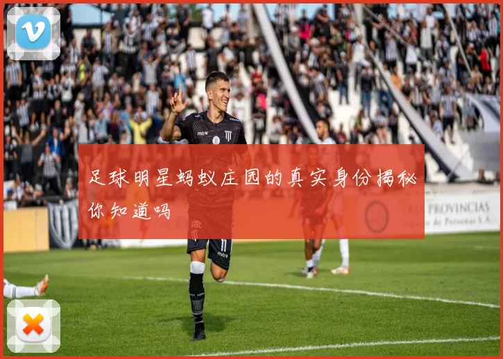 足球明星蚂蚁庄园的真实身份揭秘你知道吗