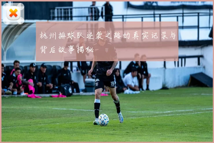 杭州排球队逆袭之路的真实记录与背后故事揭秘