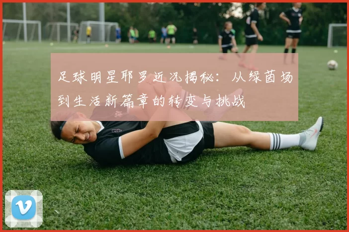 足球明星耶罗近况揭秘：从绿茵场到生活新篇章的转变与挑战