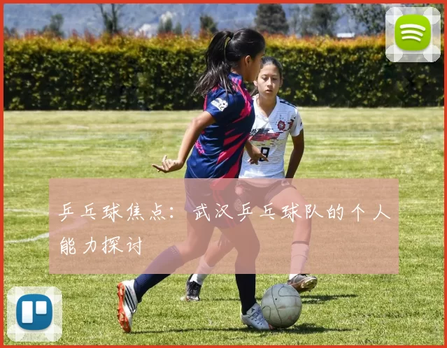 乒乓球焦点：武汉乒乓球队的个人能力探讨