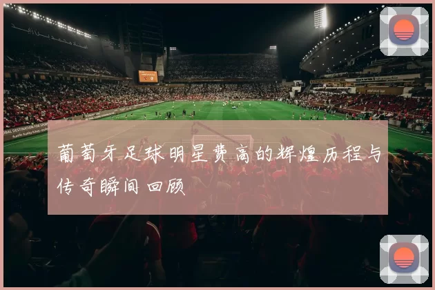 葡萄牙足球明星费高的辉煌历程与传奇瞬间回顾