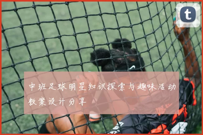 中班足球明星知识探索与趣味活动教案设计分享