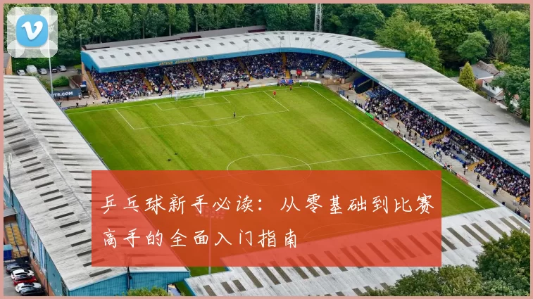 乒乓球新手必读：从零基础到比赛高手的全面入门指南