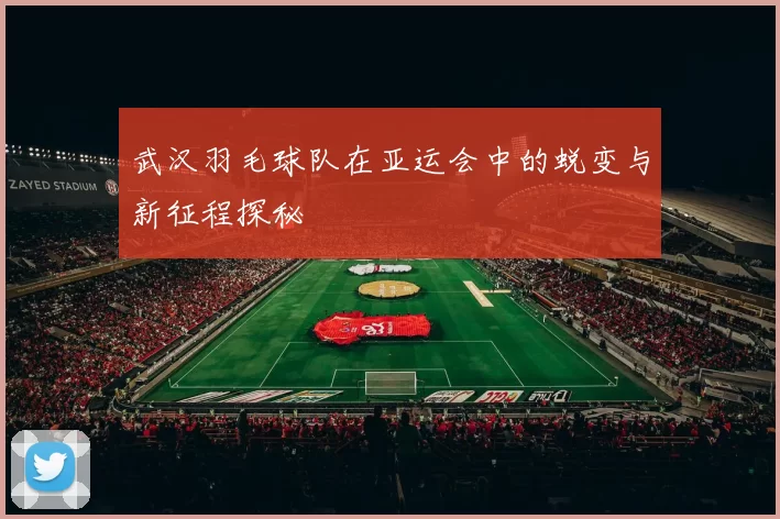 武汉羽毛球队在亚运会中的蜕变与新征程探秘