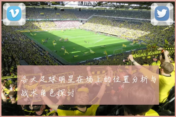 各大足球明星在场上的位置分析与战术角色探讨
