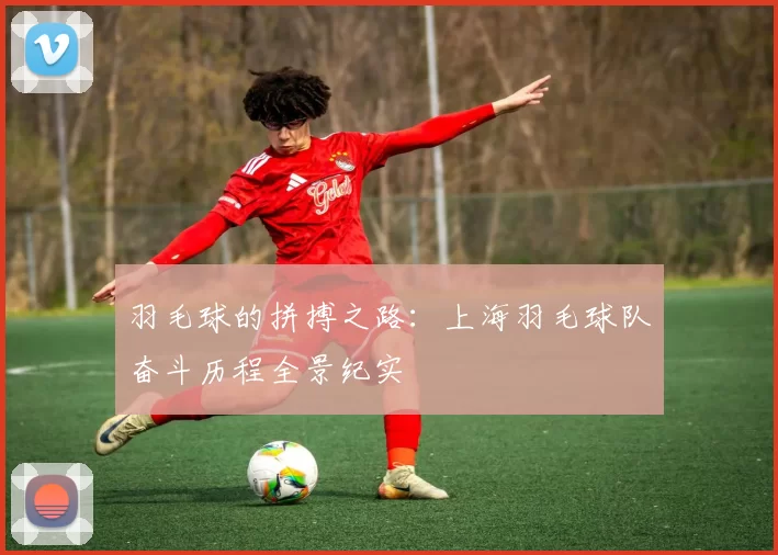 羽毛球的拼搏之路：上海羽毛球队奋斗历程全景纪实