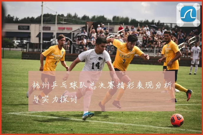 杭州乒乓球队总决赛精彩表现分析与实力探讨