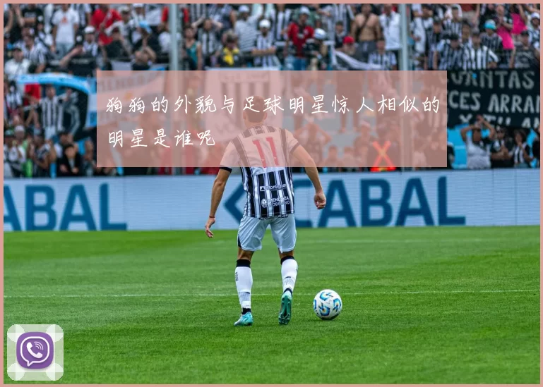 狗狗的外貌与足球明星惊人相似的明星是谁呢