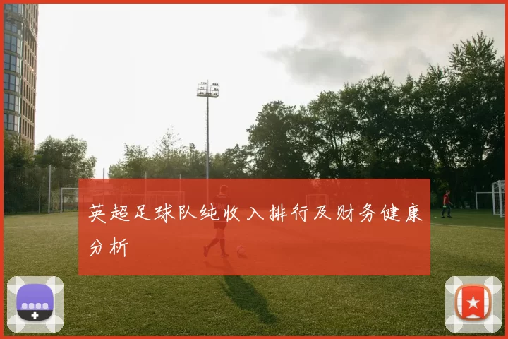 英超足球队纯收入排行及财务健康分析