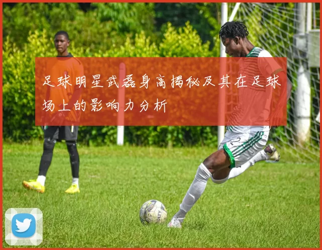 足球明星武磊身高揭秘及其在足球场上的影响力分析