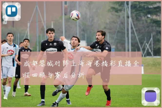 成都蓉城对阵上海海港精彩直播全程回顾与赛后分析