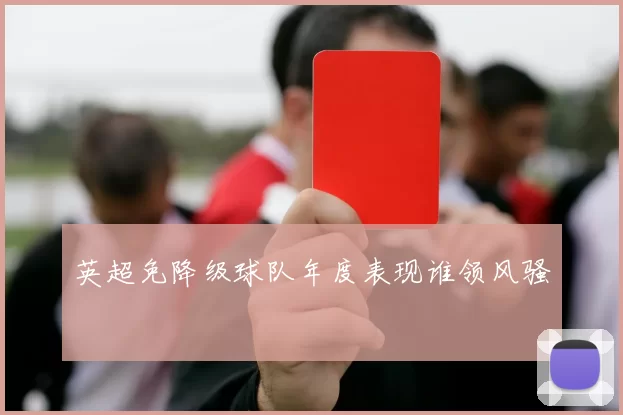 英超免降级球队年度表现谁领风骚