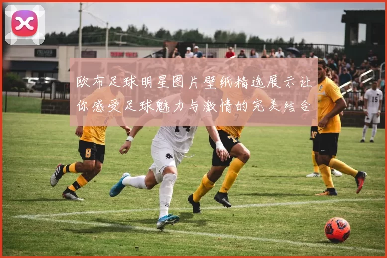 欧布足球明星图片壁纸精选展示让你感受足球魅力与激情的完美结合