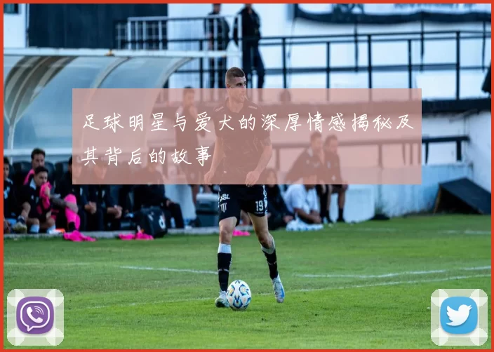 足球明星与爱犬的深厚情感揭秘及其背后的故事