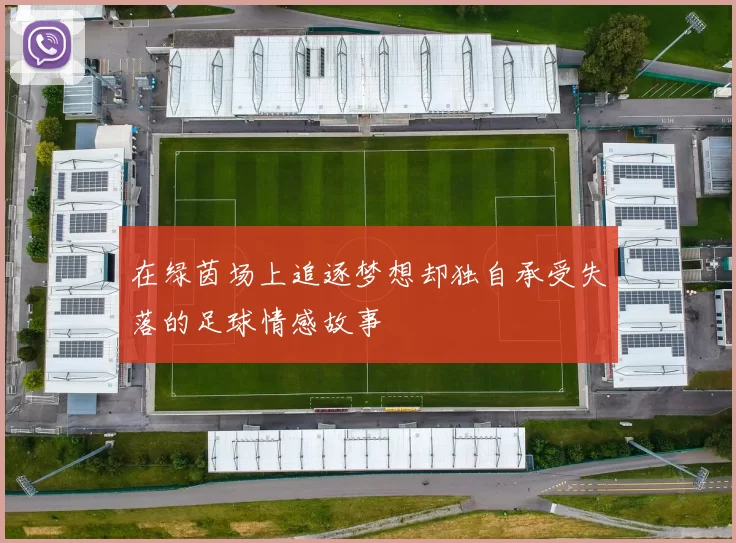 在绿茵场上追逐梦想却独自承受失落的足球情感故事