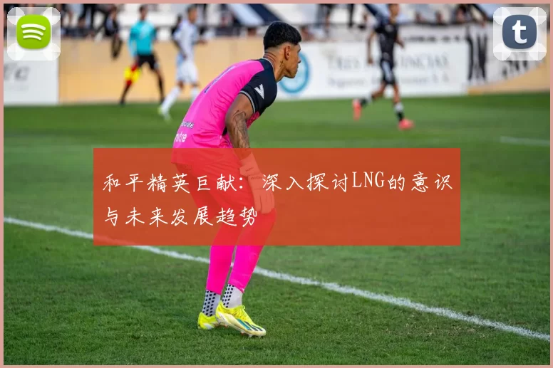 和平精英巨献：深入探讨LNG的意识与未来发展趋势