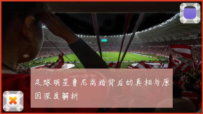 足球明星鲁尼离婚背后的真相与原因深度解析