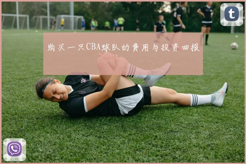 购买一只CBA球队的费用与投资回报