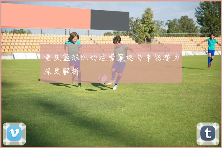 重庆篮球队的运营策略与市场潜力深度解析