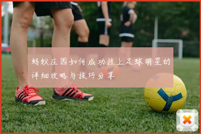 蚂蚁庄园如何成功挂上足球明星的详细攻略与技巧分享