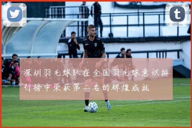 深圳羽毛球队在全国羽毛球意识排行榜中荣获第二名的辉煌成就