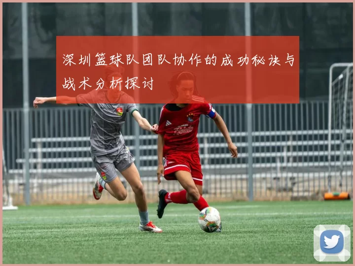 深圳篮球队团队协作的成功秘诀与战术分析探讨