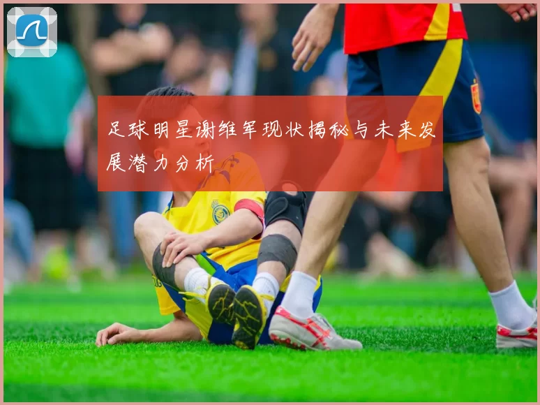 足球明星谢维军现状揭秘与未来发展潜力分析